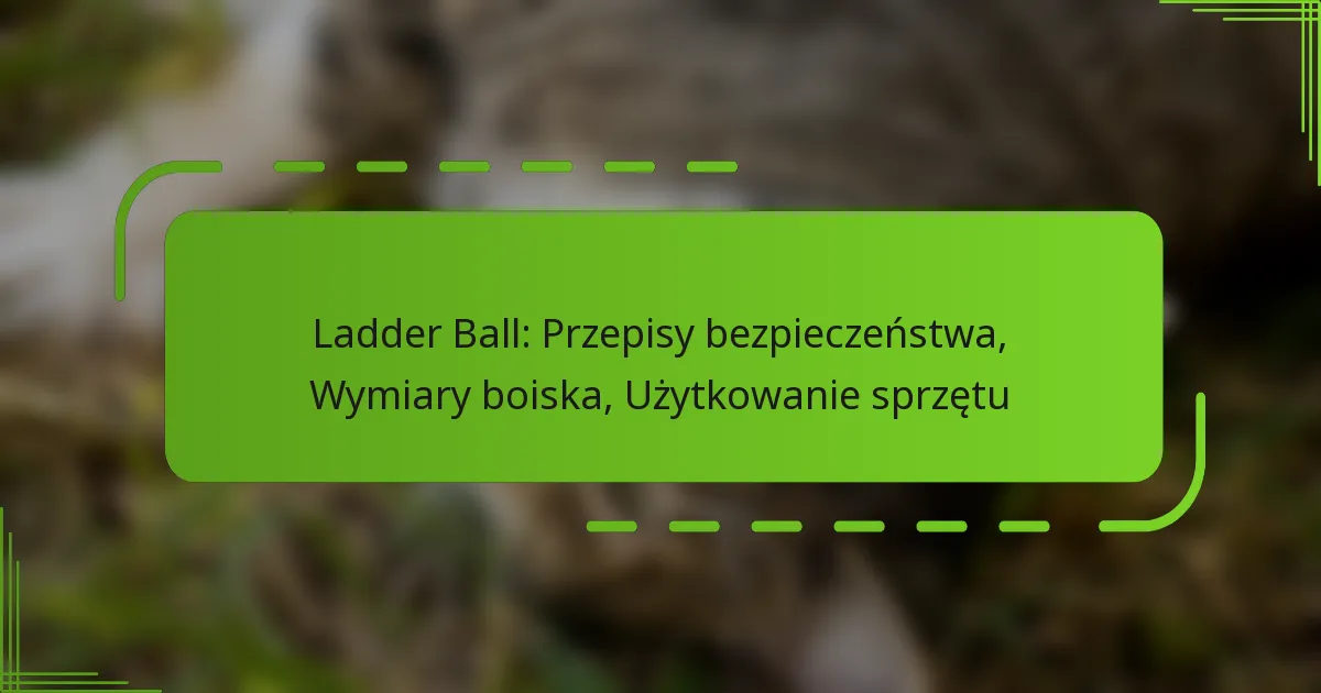 Ladder Ball: Przepisy bezpieczeństwa, Wymiary boiska, Użytkowanie sprzętu