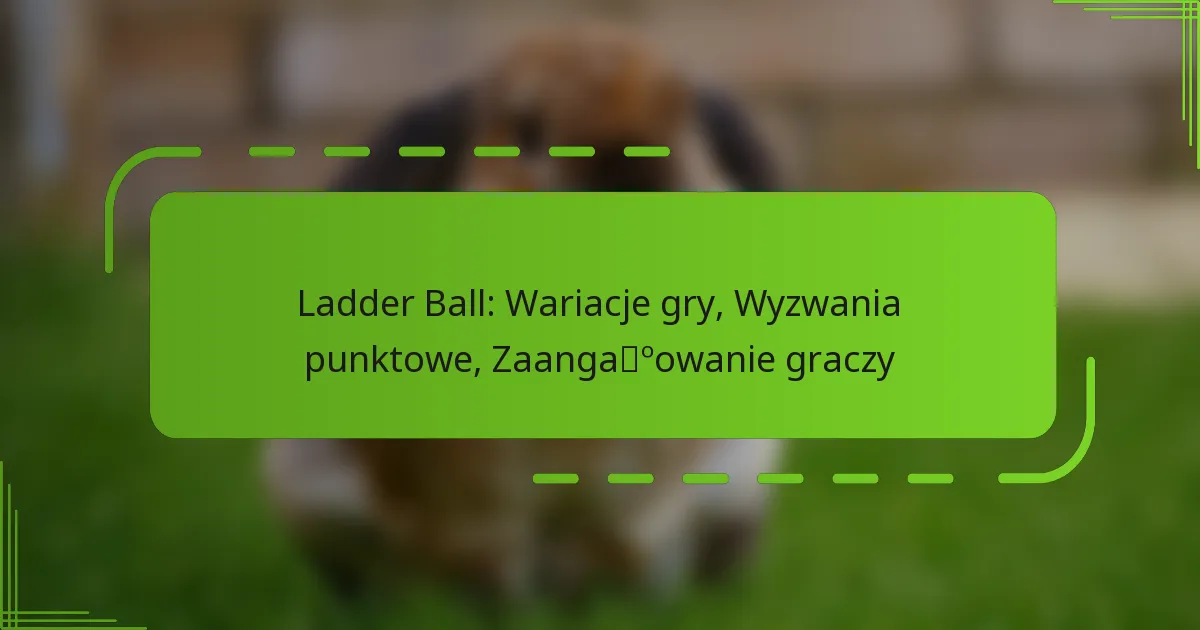 Ladder Ball: Wariacje gry, Wyzwania punktowe, Zaangażowanie graczy