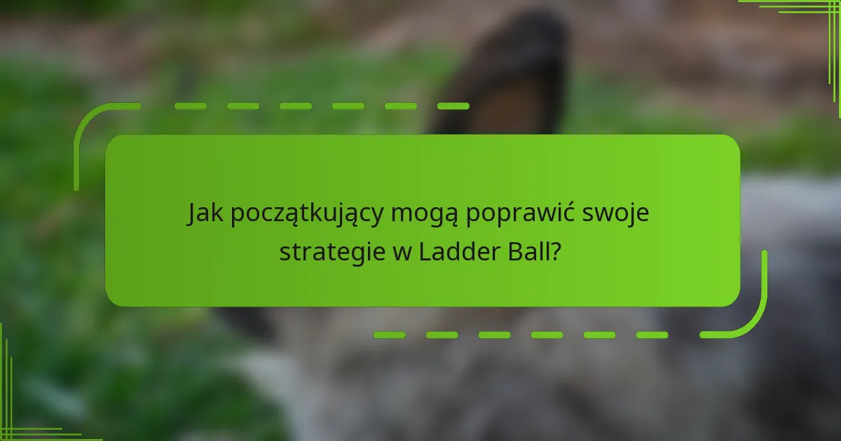Jak początkujący mogą poprawić swoje strategie w Ladder Ball?