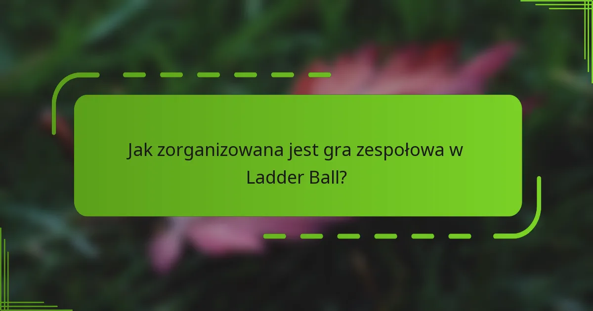 Jak zorganizowana jest gra zespołowa w Ladder Ball?