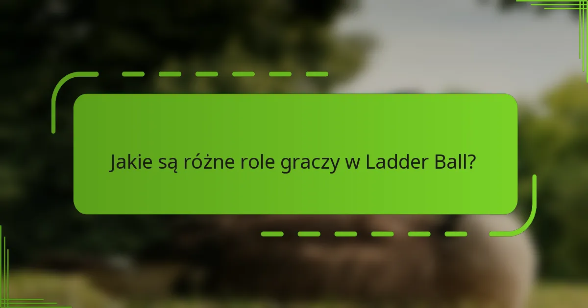 Jakie są różne role graczy w Ladder Ball?